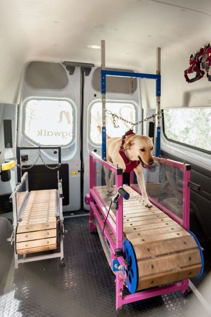 A dog running on a slatmill inside a climate-controlled mobile dog gym van